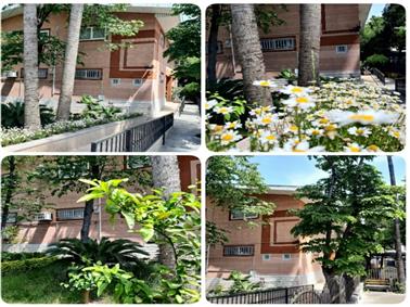 محوطه کتابخانه